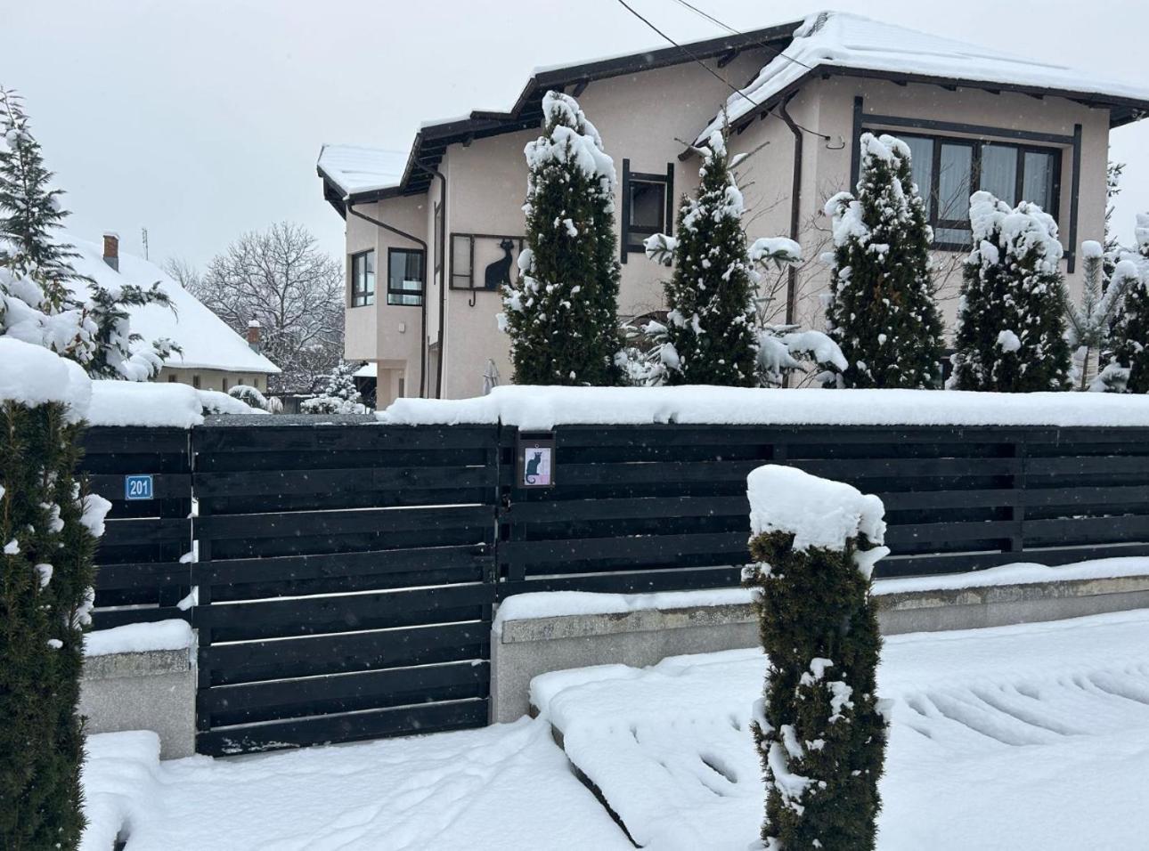 Casa Pisica Noastra Hotel Breaza  Buitenkant foto