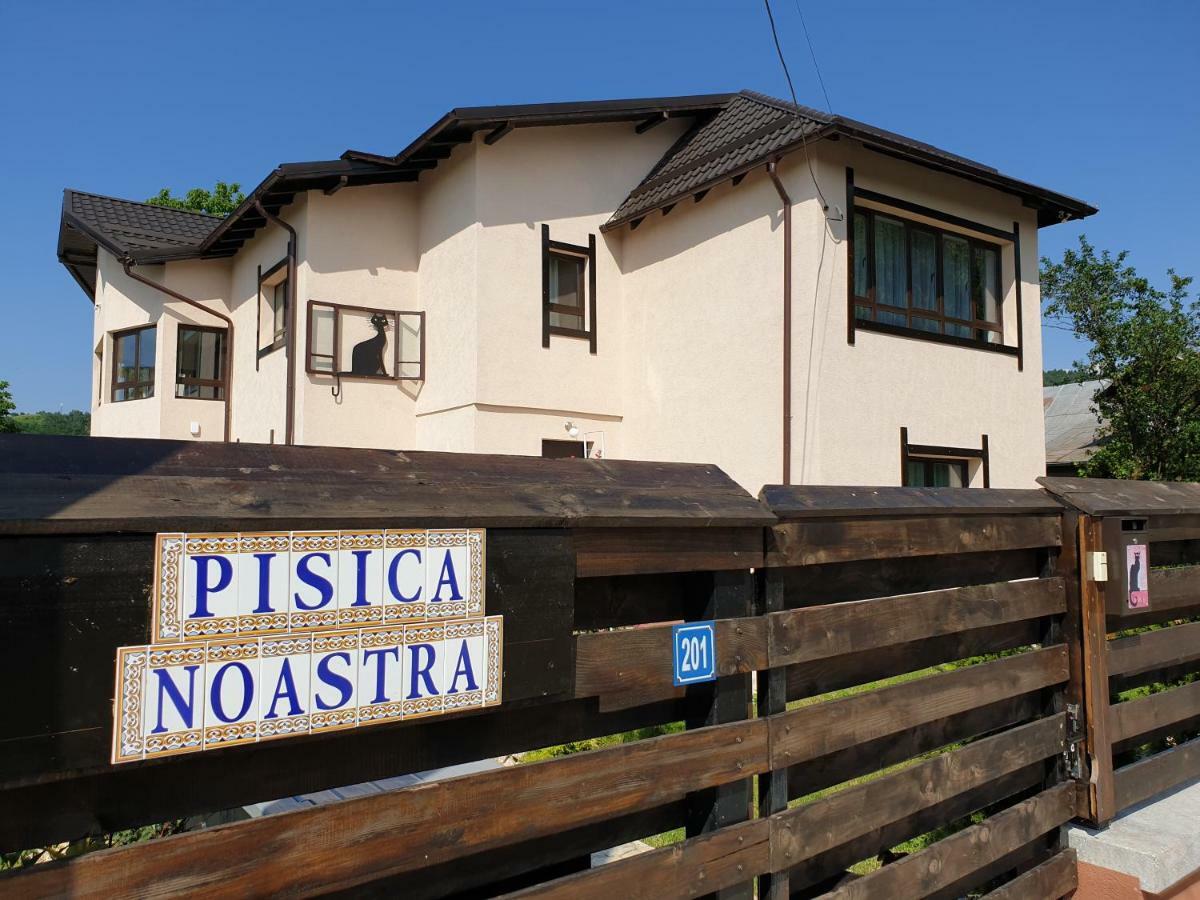 Casa Pisica Noastra Hotel Breaza  Buitenkant foto